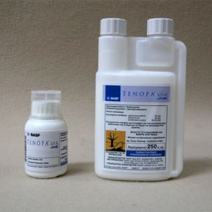 item8